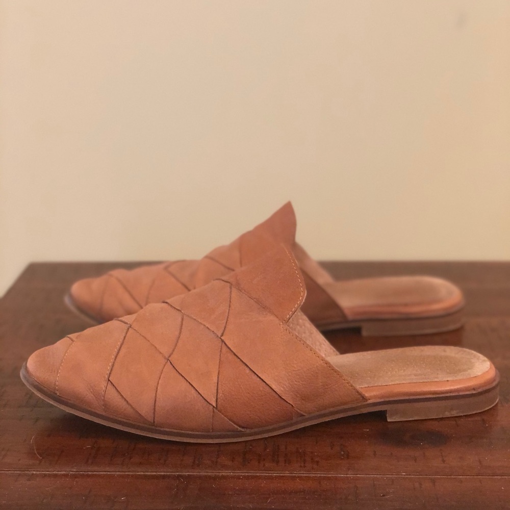 Seychelles Survival mules 9